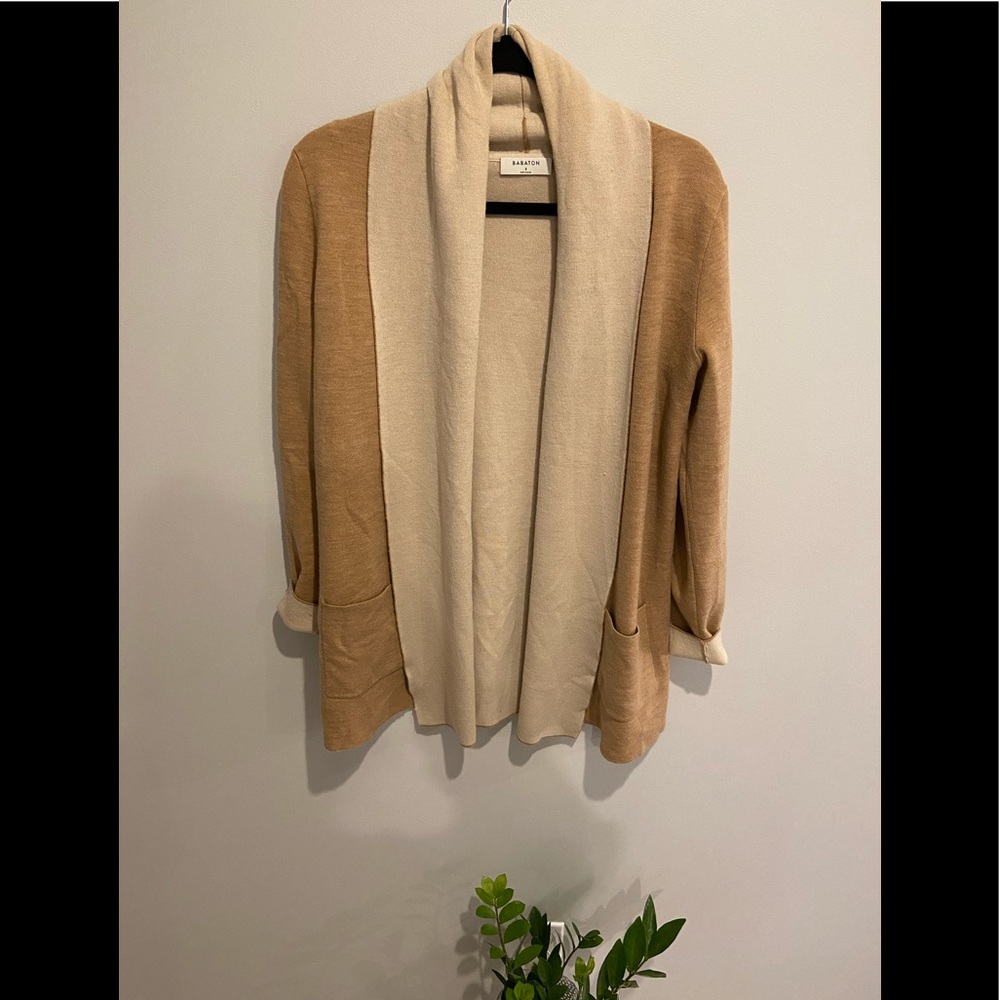 Aritzia Babaton BEEKMAN sweater